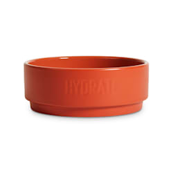 EveryYay Dining In Orange Hydrate Ceramic Dog Water Bowl