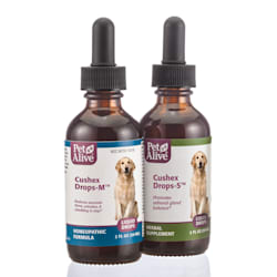 dog uti treatment petco