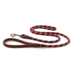 Reddy Burgundy Rope Dog Leash