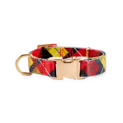 lupine collars petco