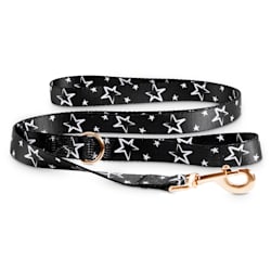 lupine collars petco