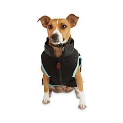 Reddy Black Zip-and-Stow Dog Puffer Jacket