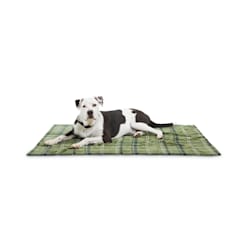 EveryYay Essentials Let's Snuggle Green Plaid Pet Throw