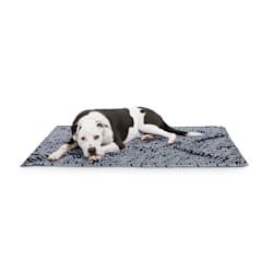 EveryYay Essentials Let's Snuggle Black Arrow-Print Pet Throw