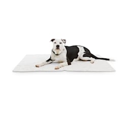 EveryYay Essentials Let's Snuggle Ivory Arrow-Print Pet Throw