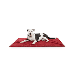 EveryYay Essentials Let's Snuggle Ruby Pet Throw
