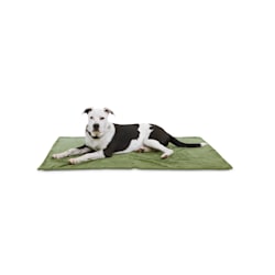 EveryYay Essentials Let's Snuggle Green Pet Throw
