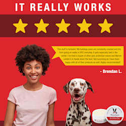 petco antiseptic spray