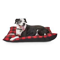 checked dog beds