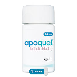 Apoquel 5.4 mg