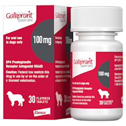 Galliprant 100 mg for Dogs