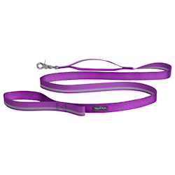 hands free leash petco