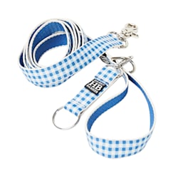 hands free leash petco