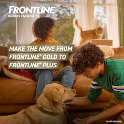 flea dip for cats petco