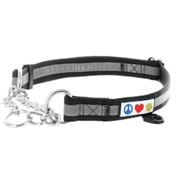 martingale dog collar petco