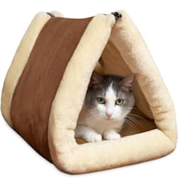 heated cat bed petco