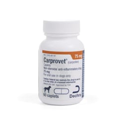 Levafen for store dogs side effects