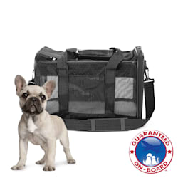 large dog stroller petco