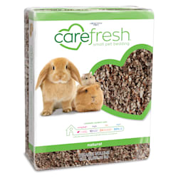 Petco store rabbit supplies