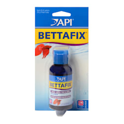 Betta Fish Medicine