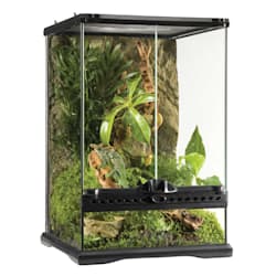 Exo Terra Mini Tall Terrarium, 12