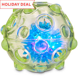 jolly soccer ball petco