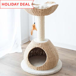 midnight molly cat scratcher