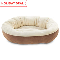 kong dog bed petco