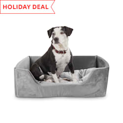 petco heated dog beds