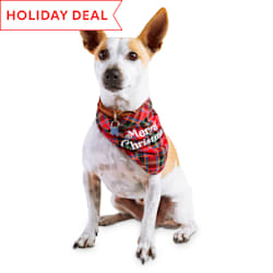 petco dog christmas outfits