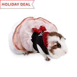 hamster harness petco