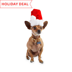 petco dog christmas outfits