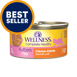 Grain Free Cat Food Best Grain Free Cat Food Brands Petco