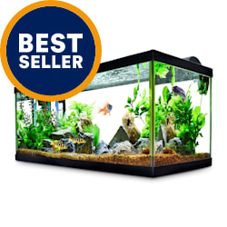 Aqueon Standard Glass Aquarium Tank 40 Gallon Breeder