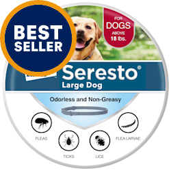 flea treatment over the counter