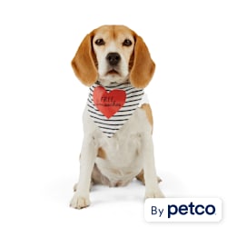 I like big bones and I cannot lie, dog bandana - free svg file for members  - SVG Heart