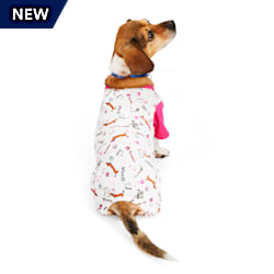 Dog onesie petco clearance
