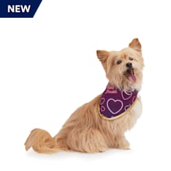 Petco dog accessories Clearance