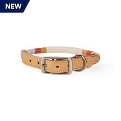 YOULY The Wanderer Cream Rope & Leather Dog Collar