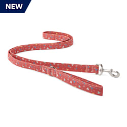 YOULY The Wanderer Red & Multicolor Triangle-Print Dog Leash