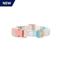 YOULY The Adventurer Multicolor Watercolor Striped Dog Collar