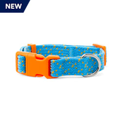 YOULY The Artist Teal & Orange Dotted Webbed Nylon Dog Collar