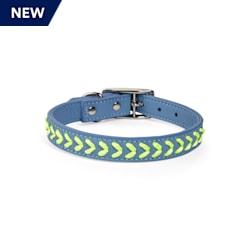 YOULY The Extrovert Blue & Rainbow Braided Dog Collar