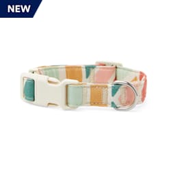 YOULY The Wanderer Rainbow Striped Dog Collar