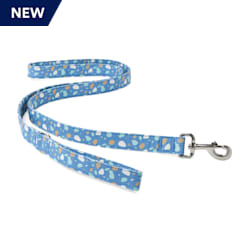 YOULY The Artist Blue & Multicolor Paint Splatter Dog Leash