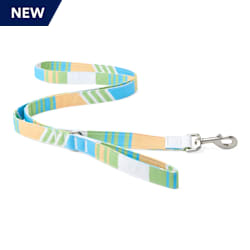 YOULY The Champion Multicolor Striped Dog Leash