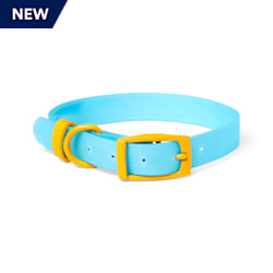 YOULY The Extrovert Water-Resistant Blue & Yellow Colorblocked Dog Collar