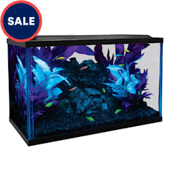 https www petco com shop en petcostore category fish fish aquariums kits