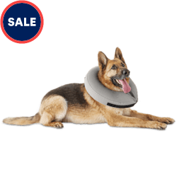 Petco soft e collar Clearance