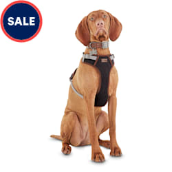 Reddy dog accessories clearance